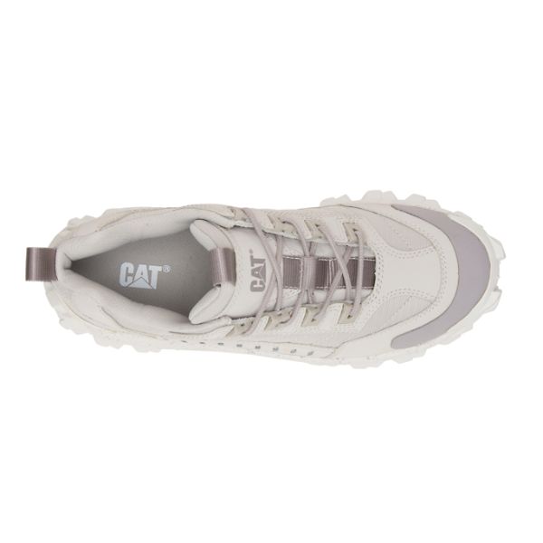 Caterpillar Intruder Soft Toe Shoes Dame Grå Beige | NO-305986YDR